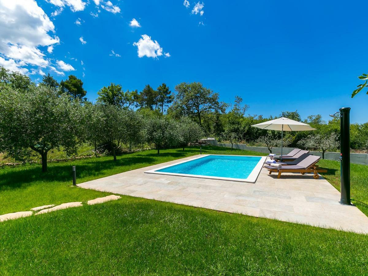 Pool Premium Apartment ヴルサル エクステリア 写真